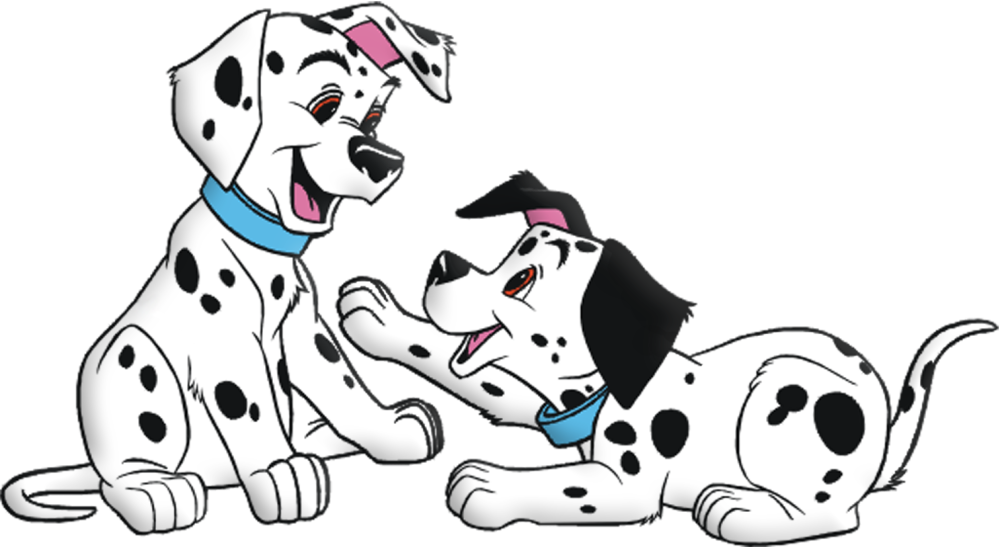 Далматин альбинос