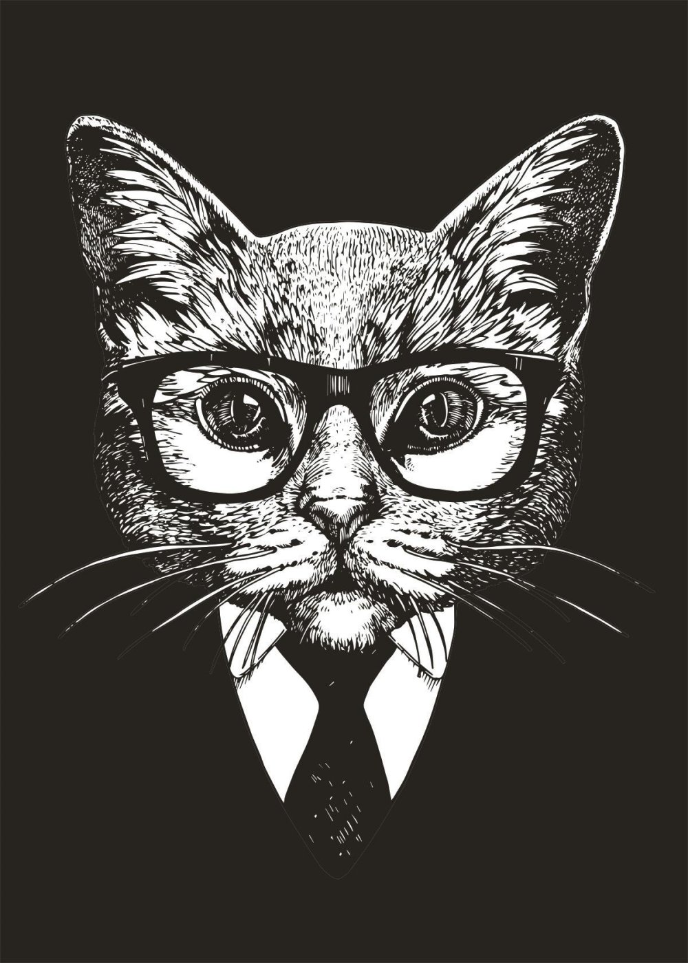 Кот в очках