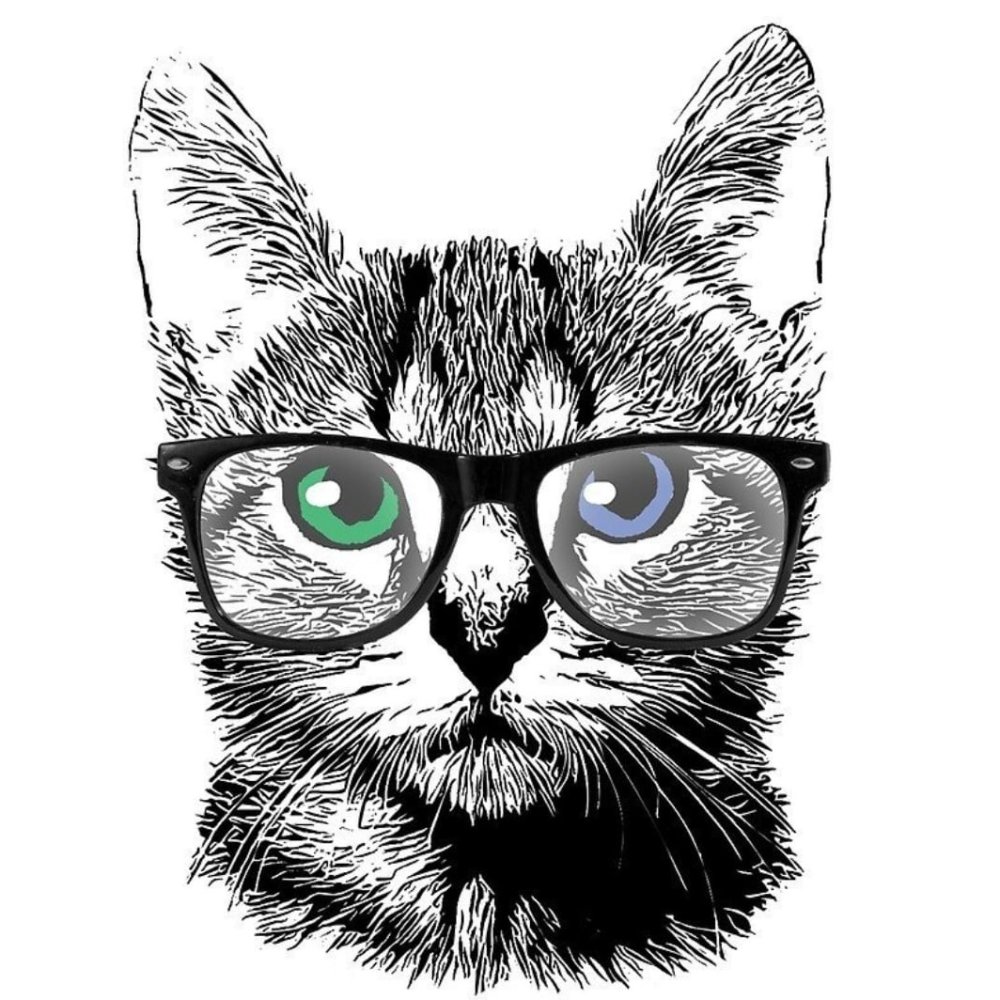 Крутой белый кот