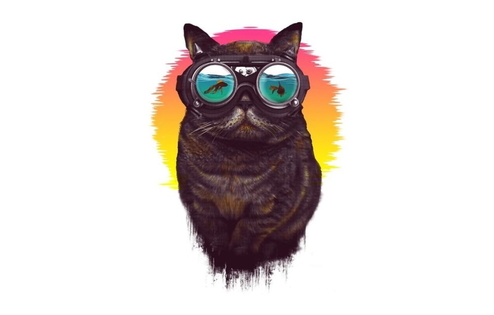 Кот в очках на рабочий стол