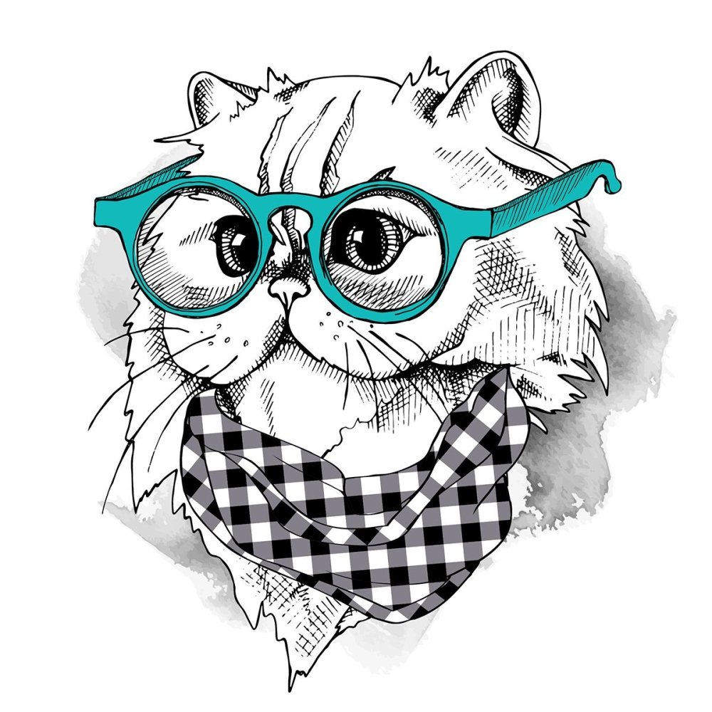 Кот в очках арт