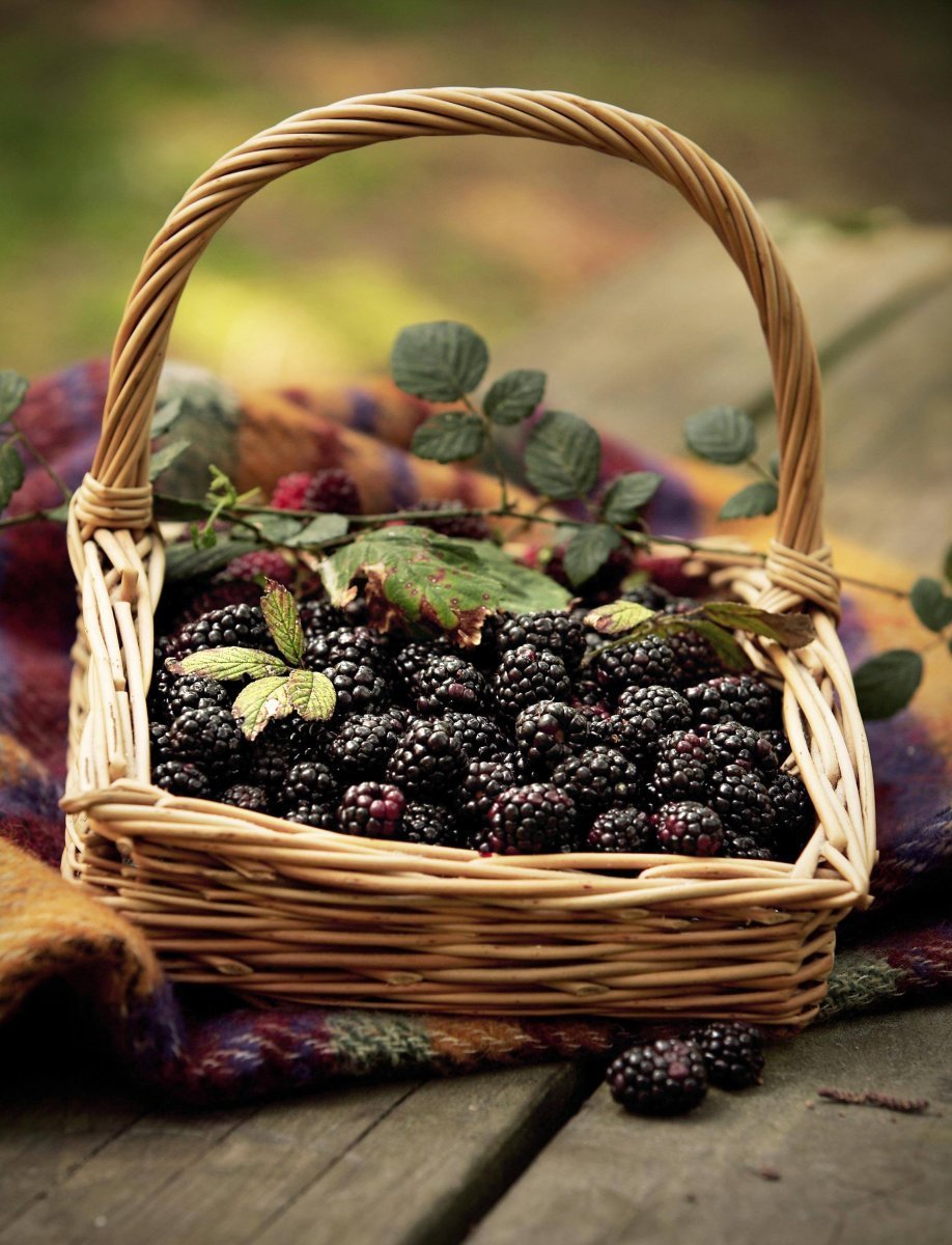 Корзинка с лесными ягодами