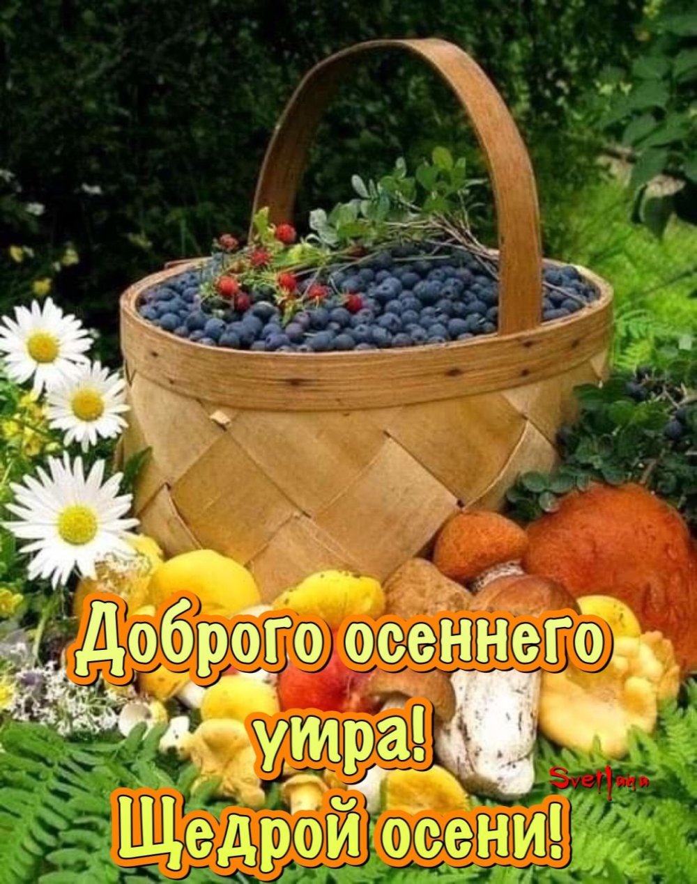 Август лето продолжается