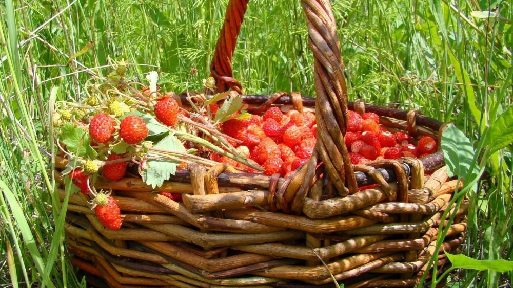 Земляника в корзинке