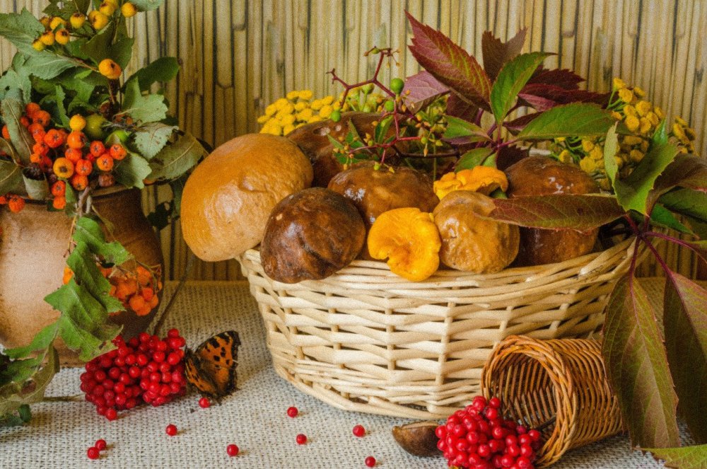 Корзина с ягодами