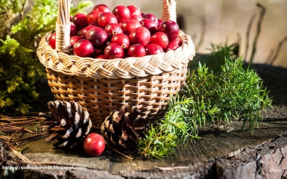 Сыроежки в корзинке