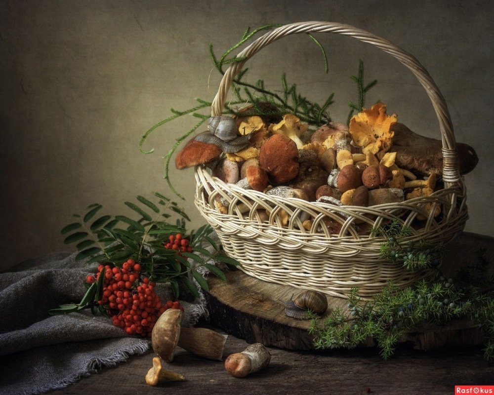 Галкин и.с. « натюрморт с белыми грибами»