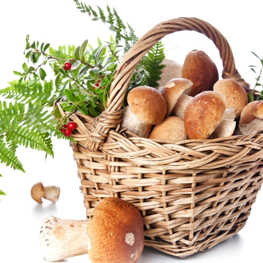 Ягодное лукошко Лесные ягоды