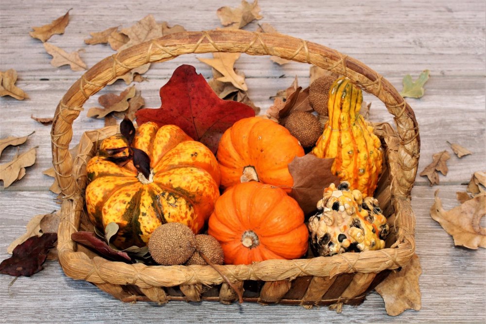 Осенняя корзина с овощами