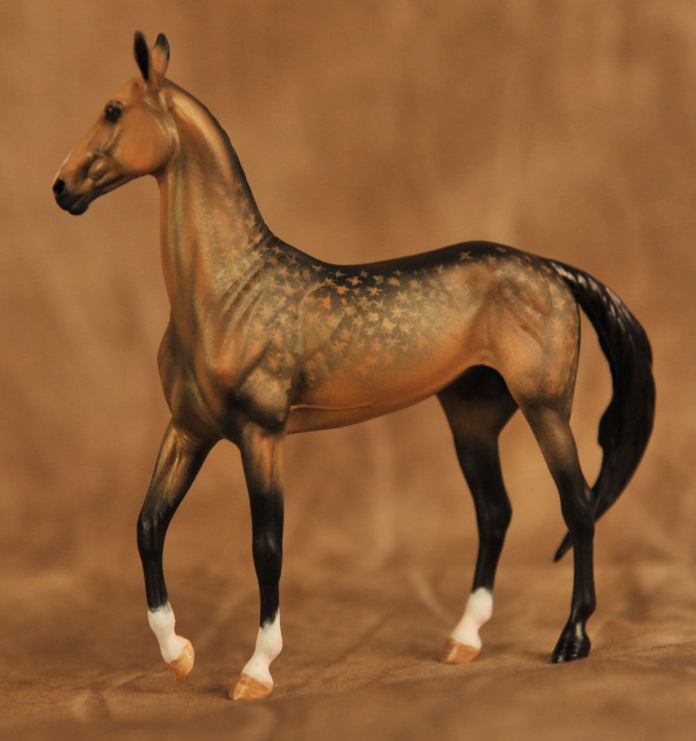 Ахалтекинская порода Изабелловая