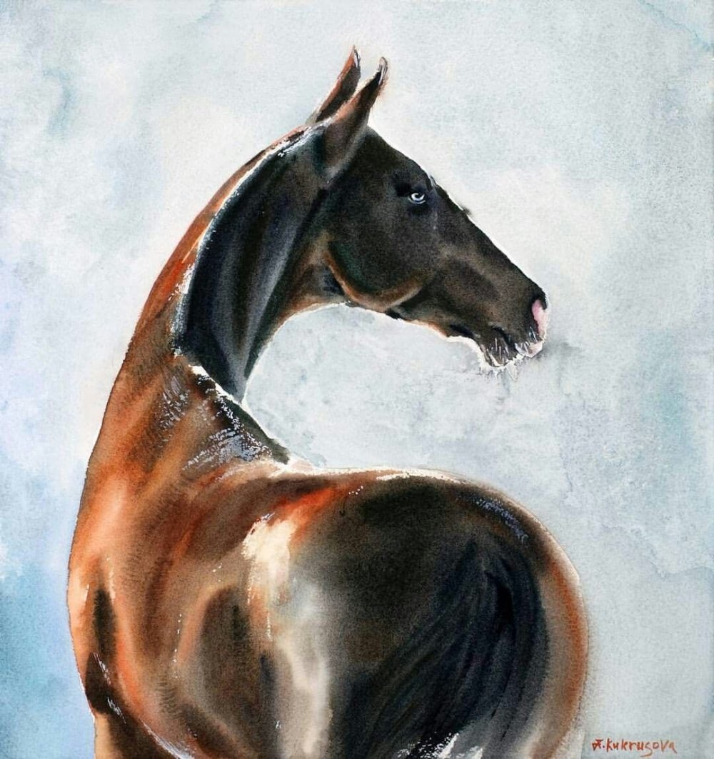 Пехимдар ахалтекинец