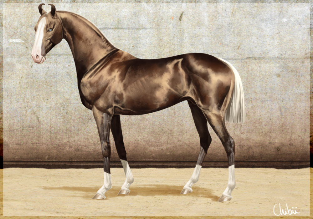 Ахалтекинская лошадь Перлино