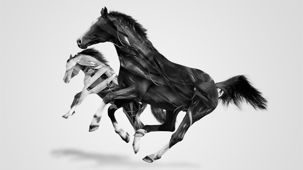 Ахалтекинская лошадь буланой масти