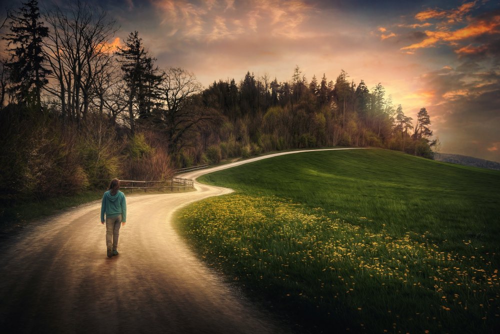 Дорога в светлое будущее