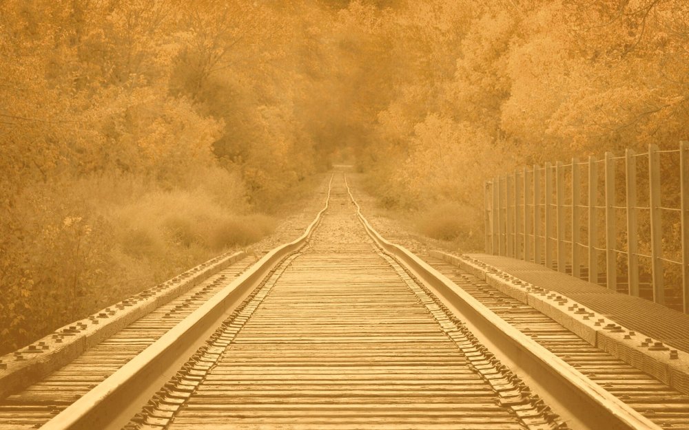 Человек природа дорога