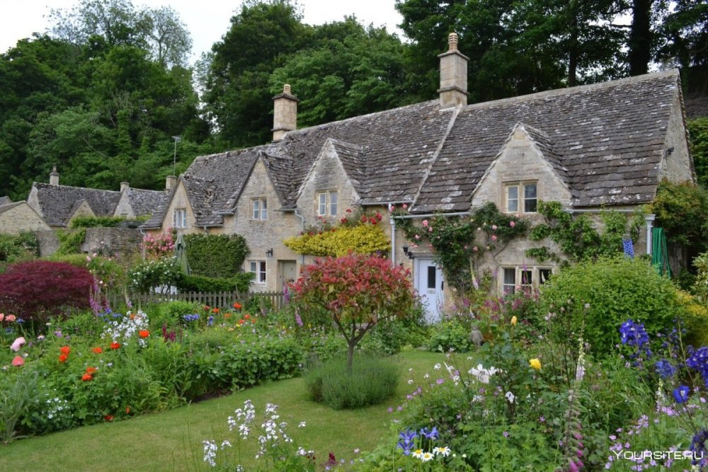 Steve crisp картины