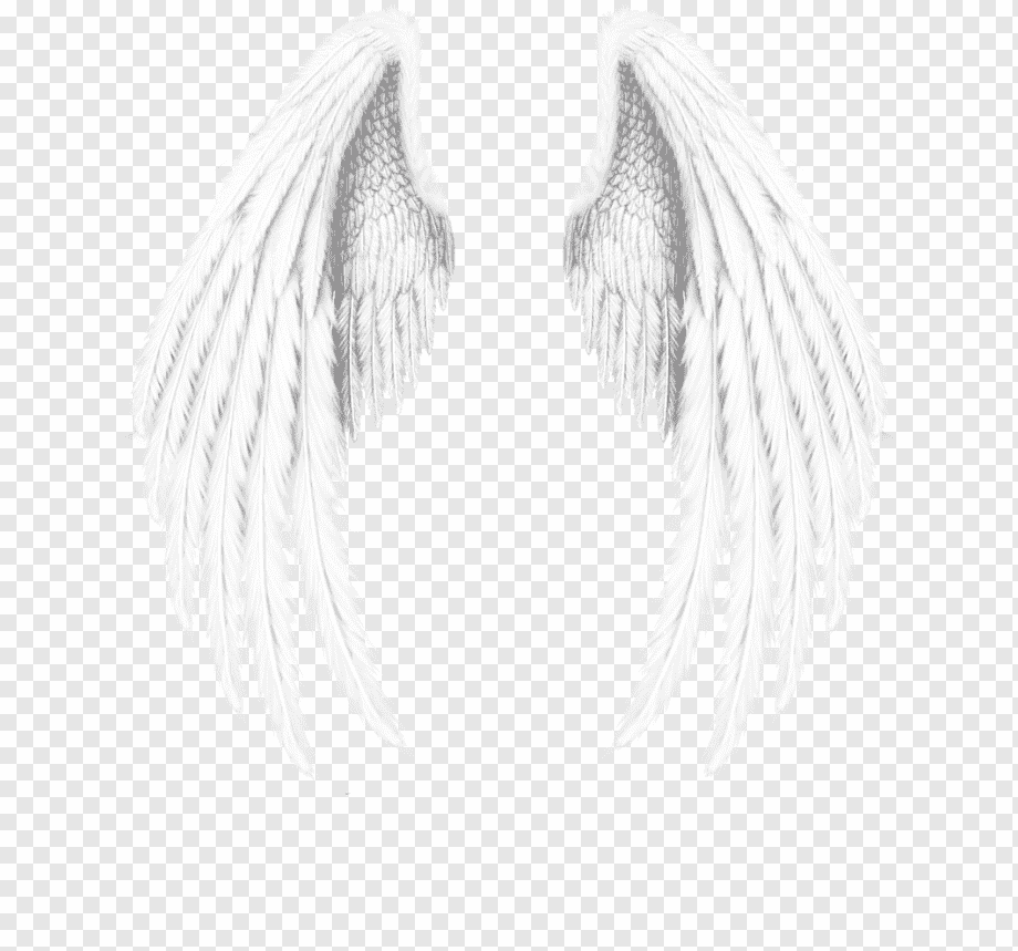 Крылья ангела