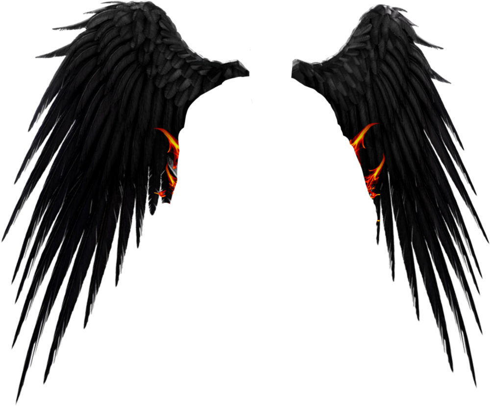 Крылья дьявола черные