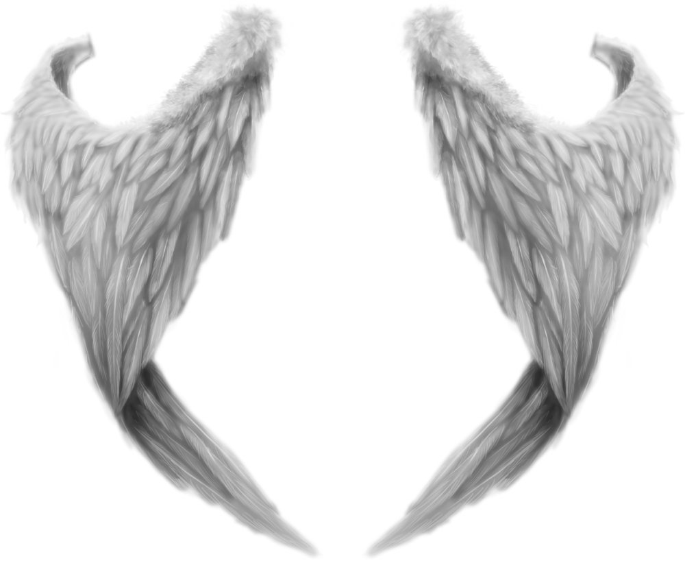 Сложенные Крылья ангела
