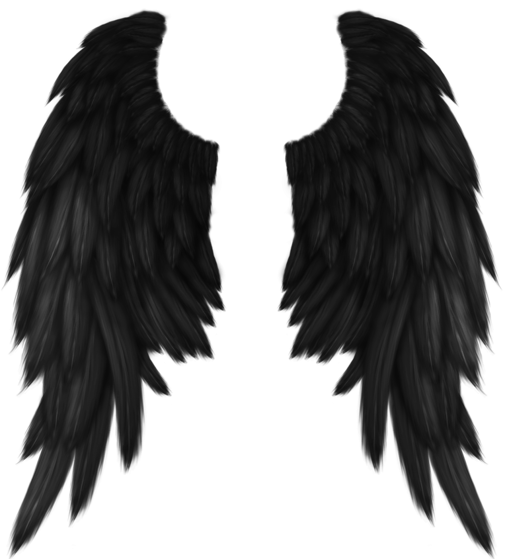 Крылья ангела черные