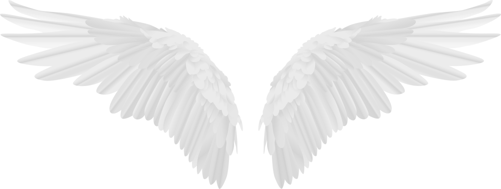 Крылья ангела для фотошопа без фона