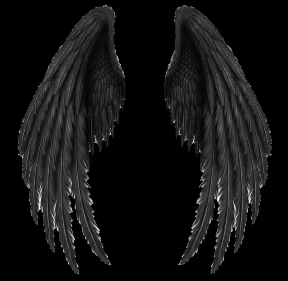 Крылья демона