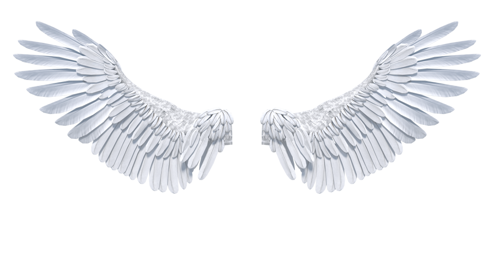 Оливер Гал Крылья ангела