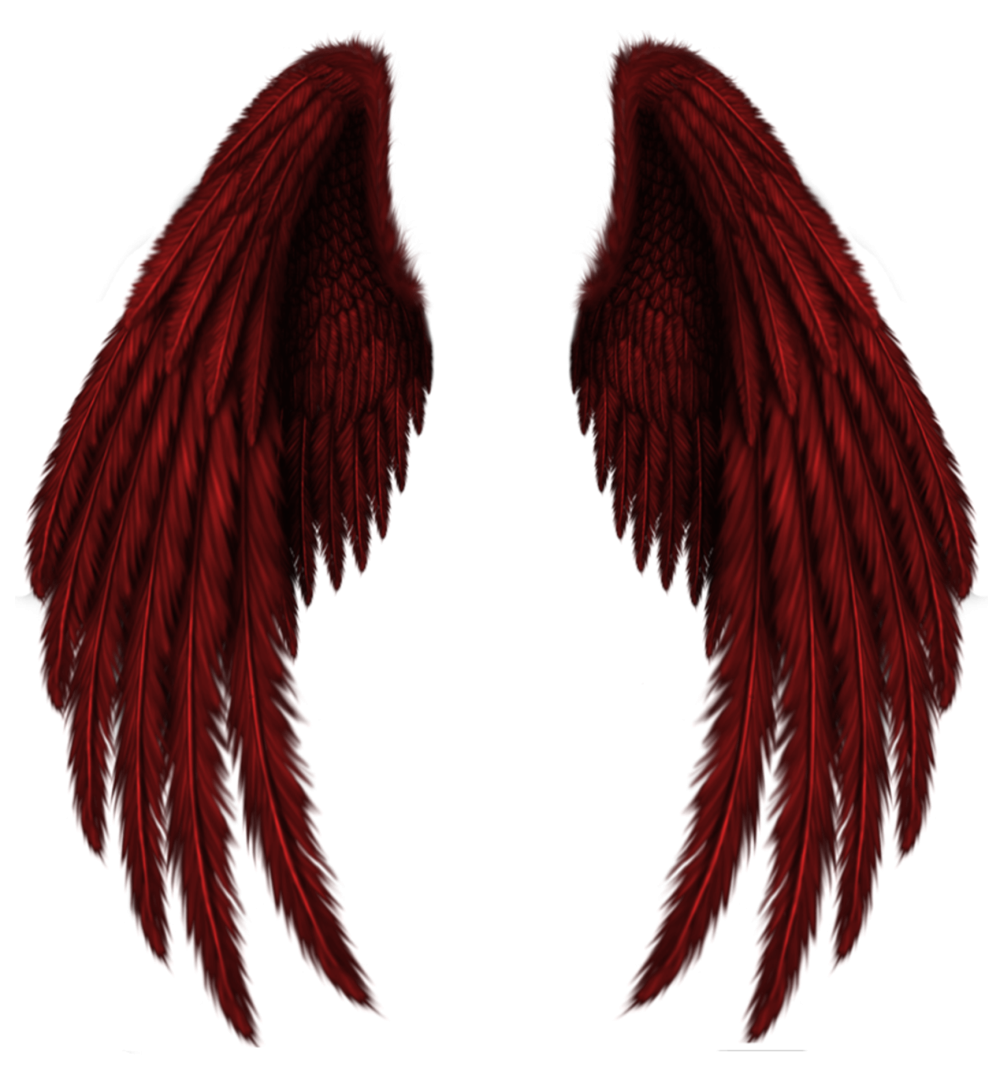 Черные Крылья