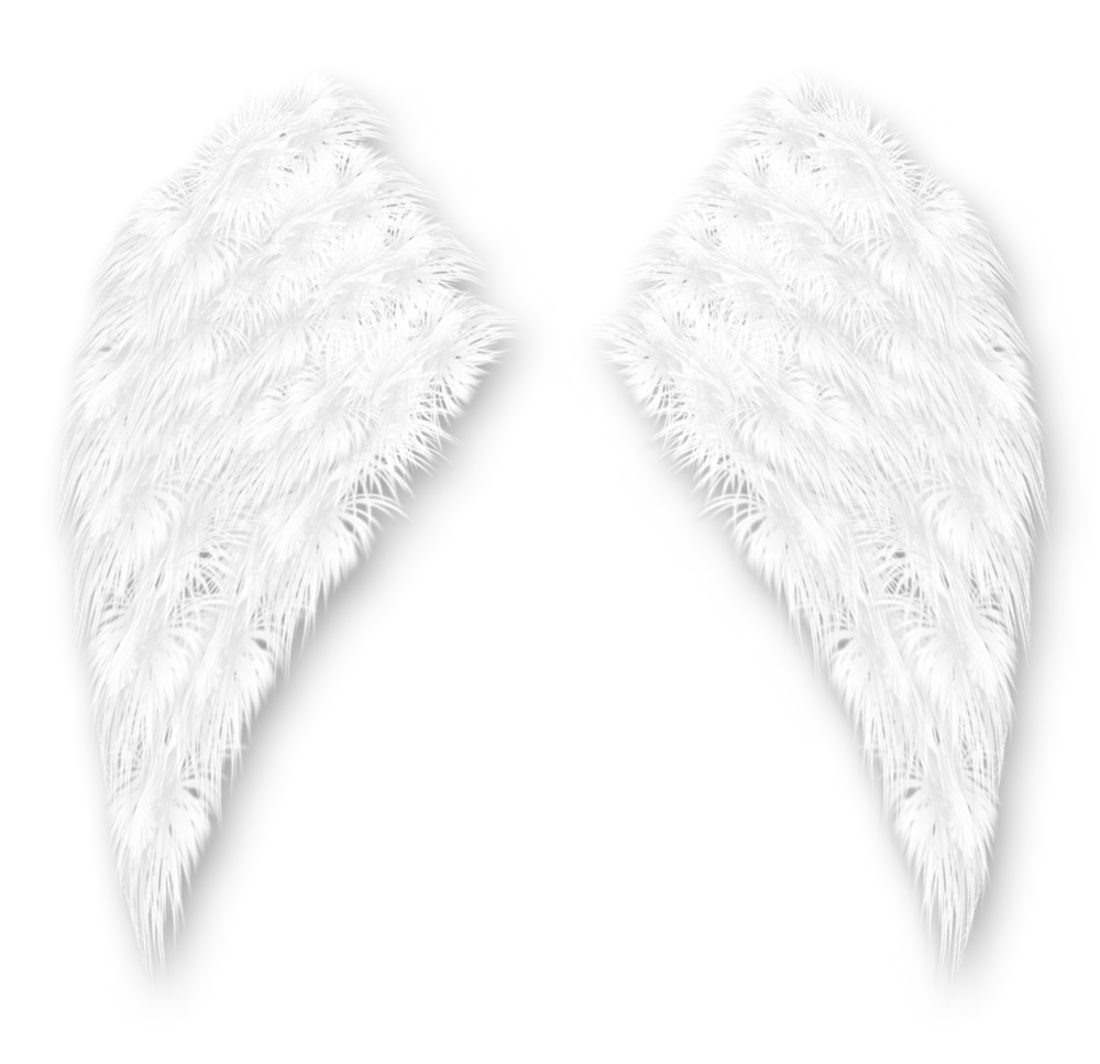 Прозрачные Крылья ангела