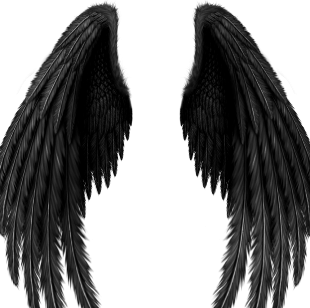 Крылья демона в профиль