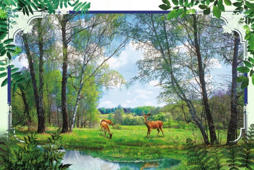 Фотообои "Беловежская пуща" 294*201 (9 листов)/Тула