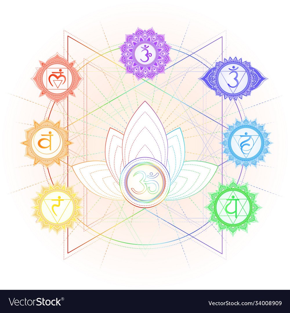 Лотос чакра Свадхистана