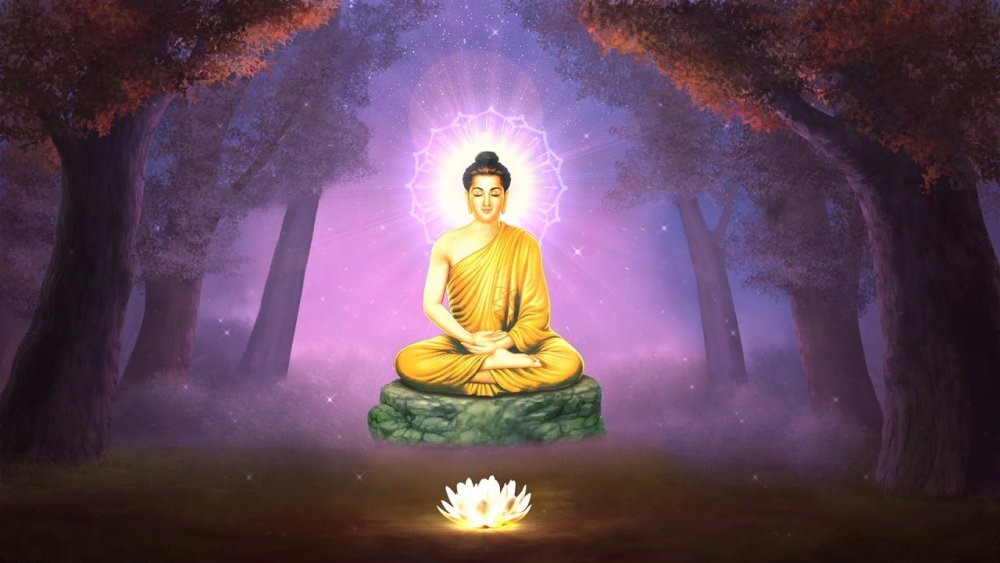 Чакры лепестки лотоса