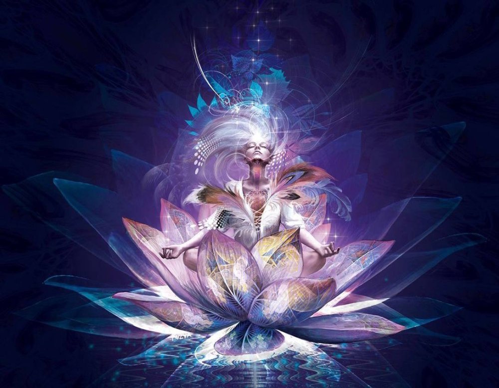 Красивый фон с лотосом