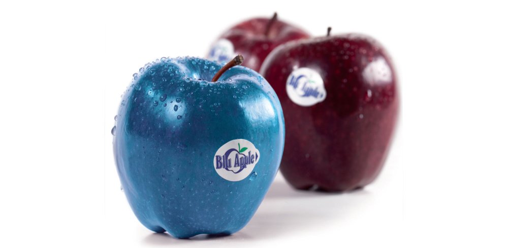 Синие яблоки сорт