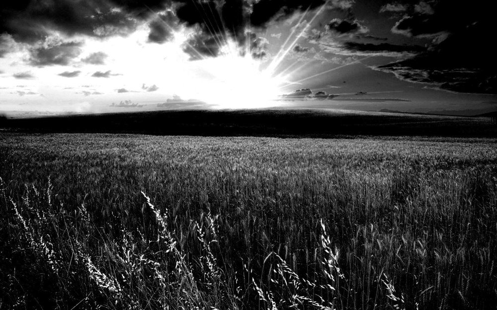 Лето в черно белых тонах