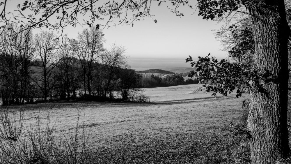 Поле черно белое