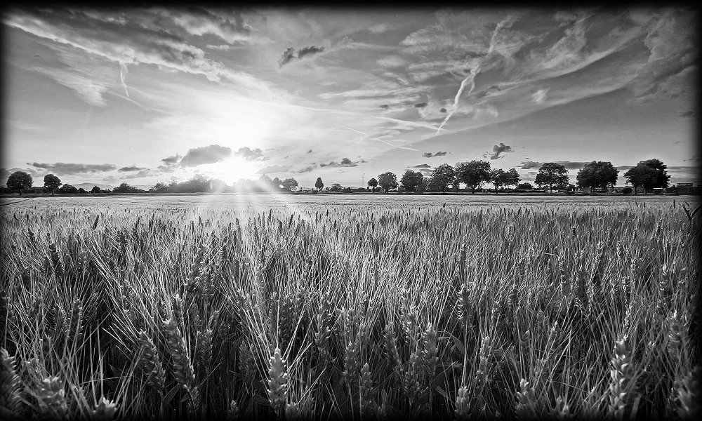 Красивая дорога