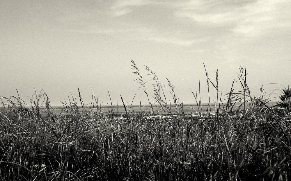 Красивая природа лето