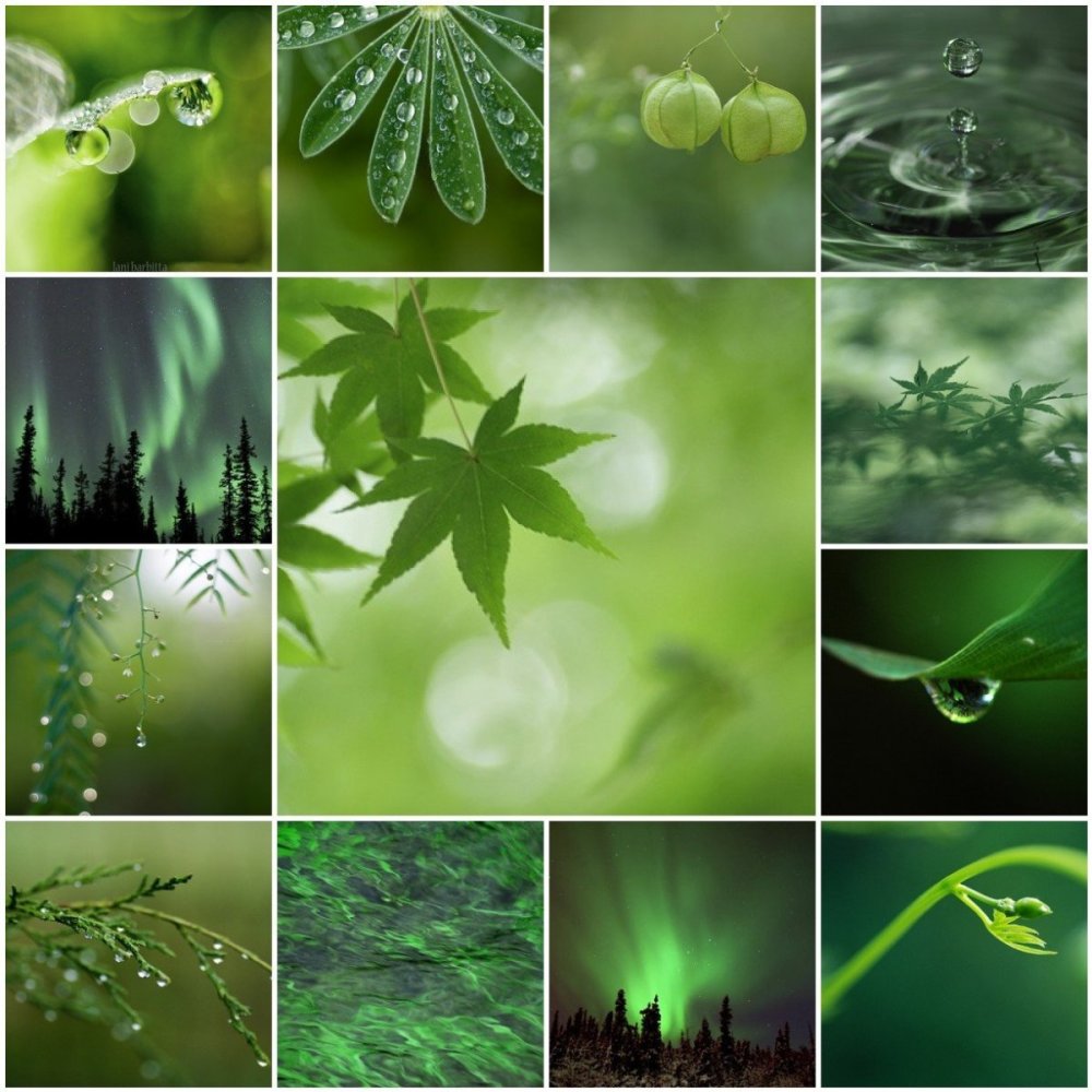 Ассоциации с зеленым цветом