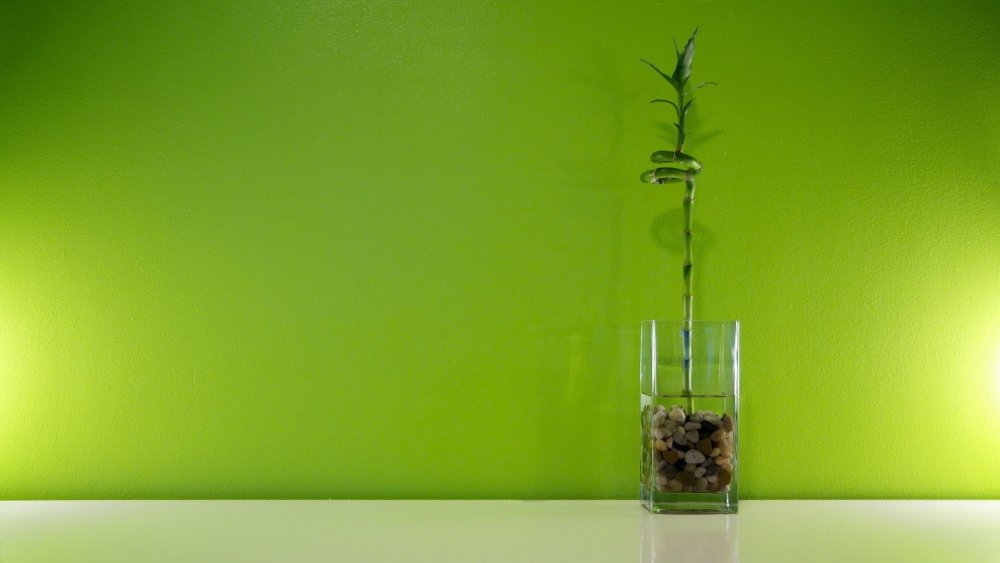 Обои Минимализм