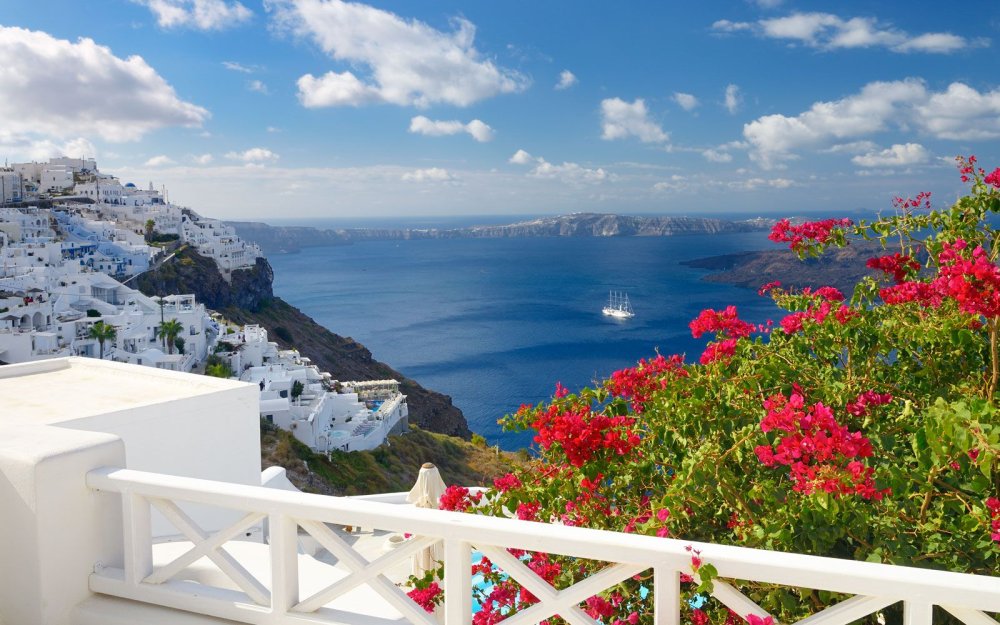 Санторини цветы