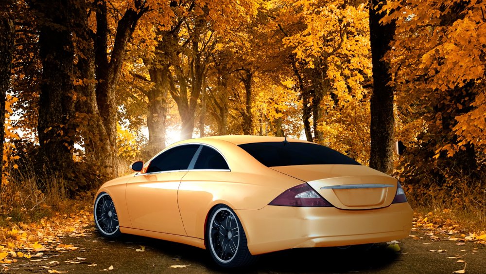 Обои Мерседес осень