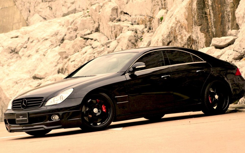 Mercedes Benz CLS 219