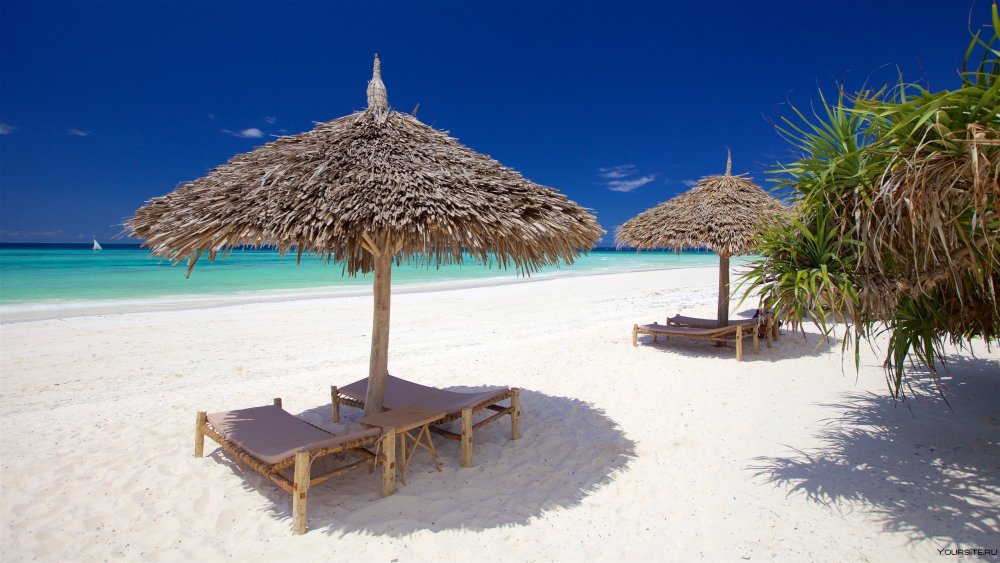 Тунис Занзибар