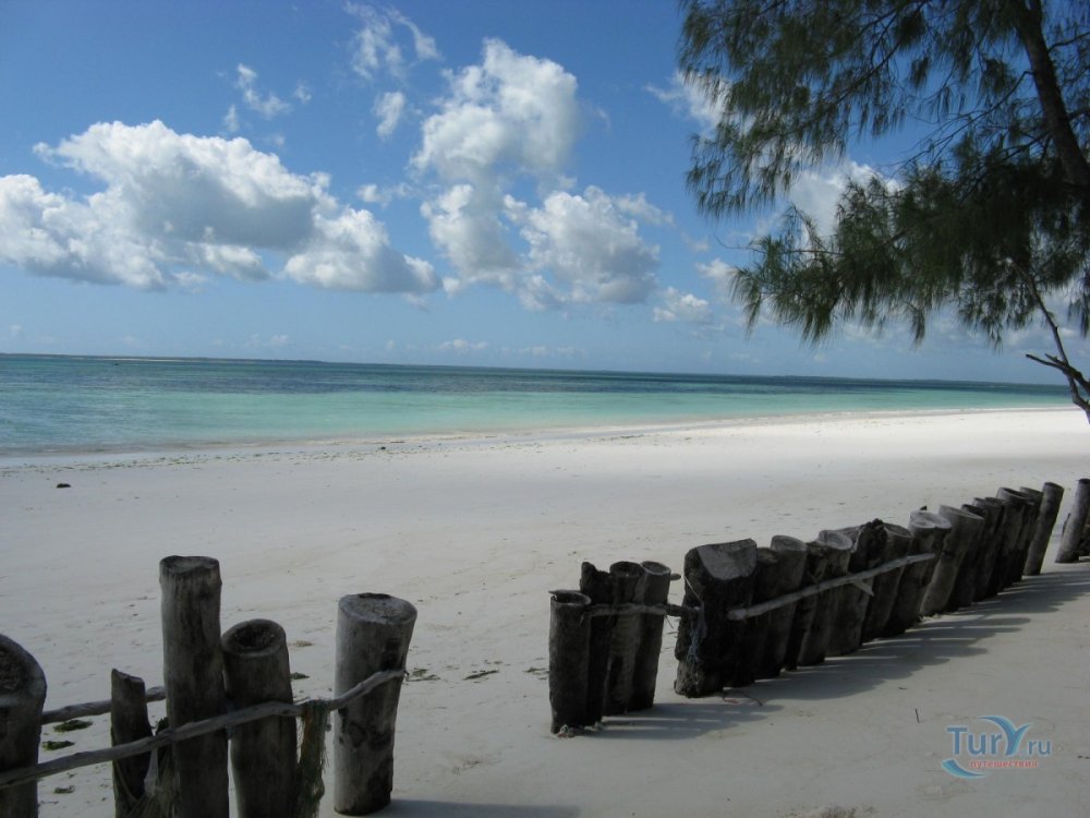 Занзибар сериал