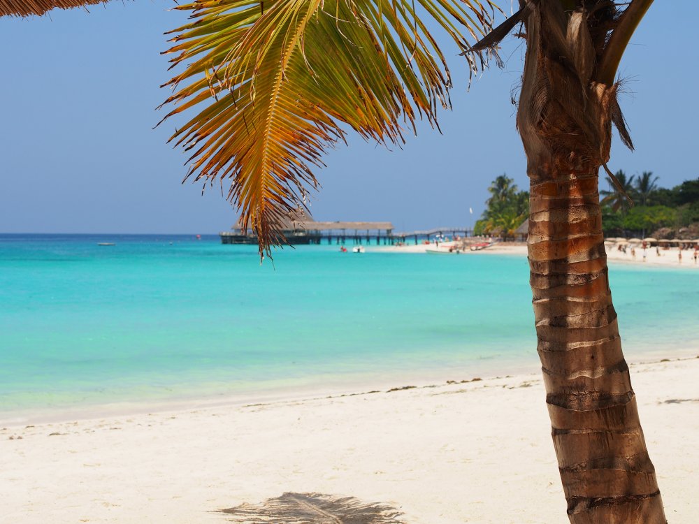 Курорт в Африке Занзибар