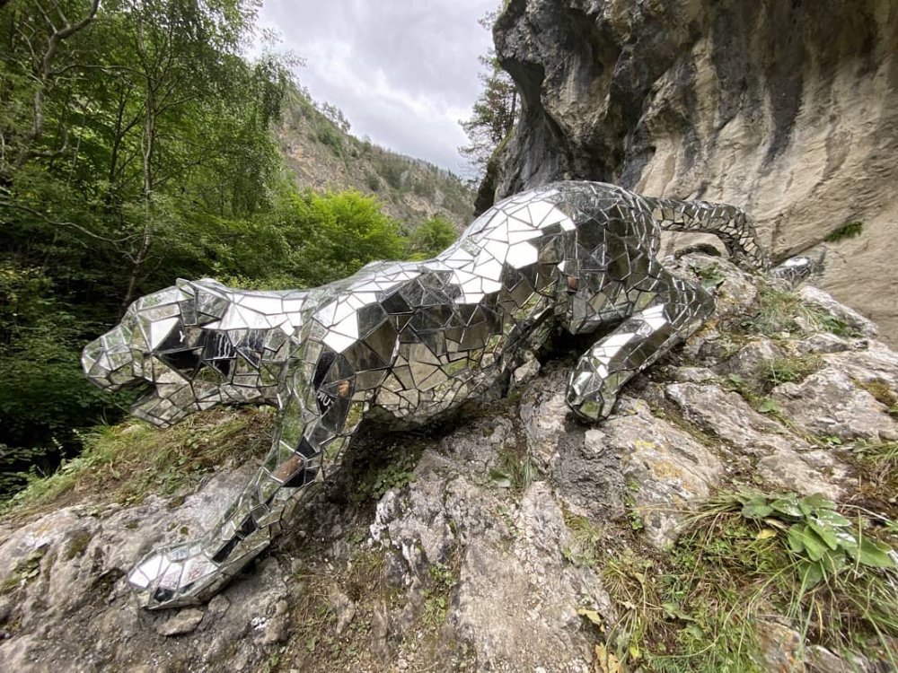 Зеркальный Барс в Фиагдоне