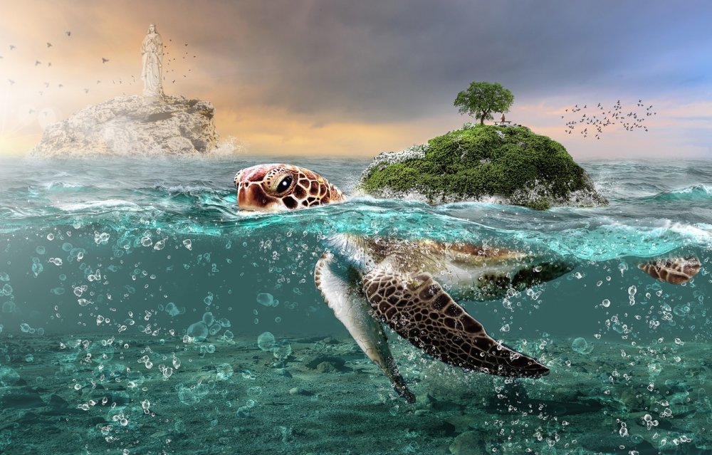 Морская черепаха