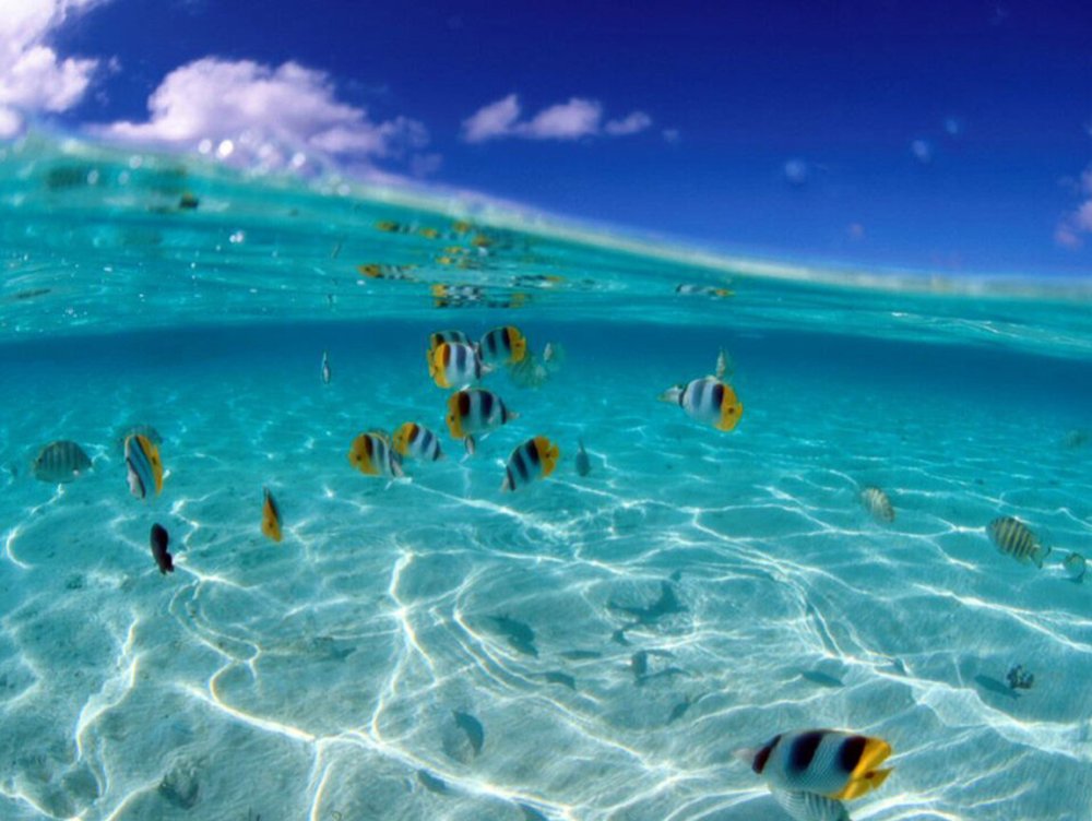 Море фэнтези